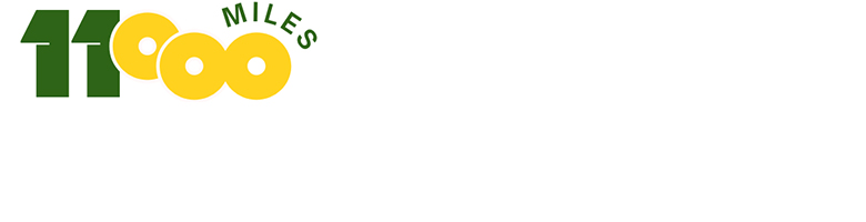 国际专线/国际快递/空海运/铁路运输/物流